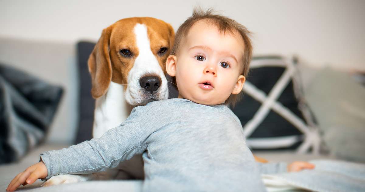 Energy bill - Beanstalk Mums Energy bill