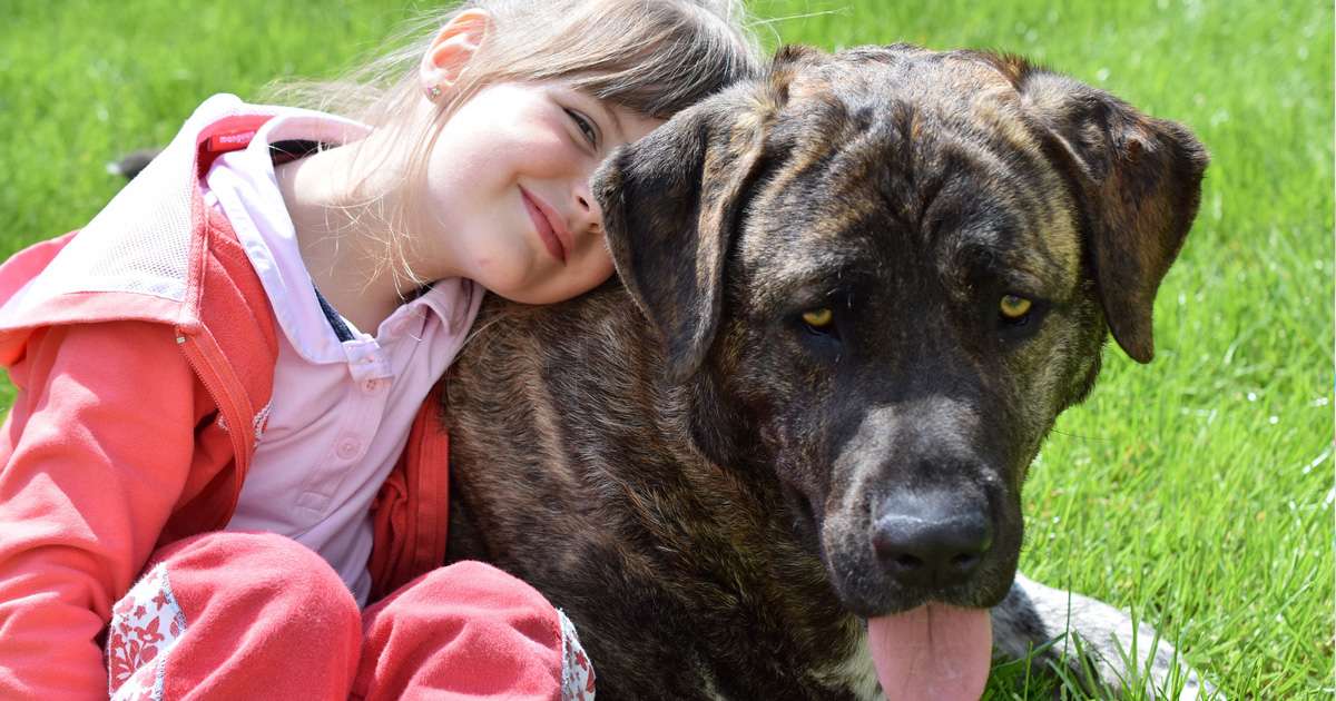 Before getting a dog - Beanstalk Mums Before getting a dog