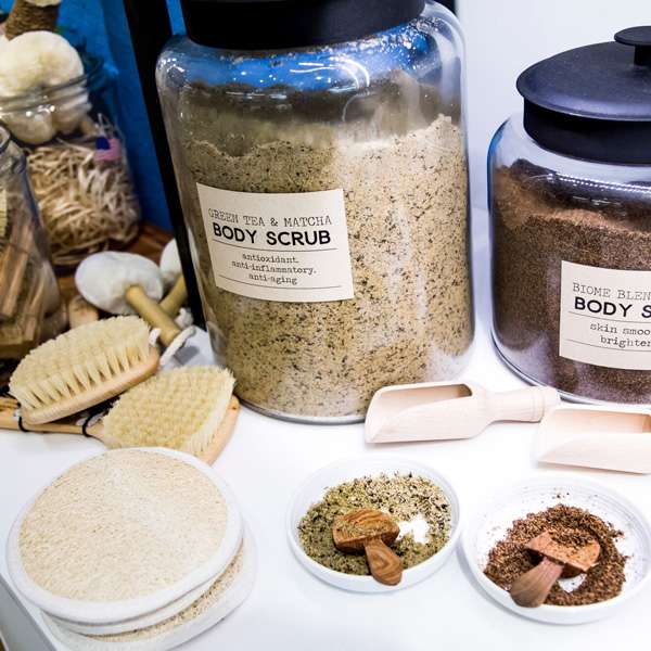 Biome | Beanstalk Discount Directory