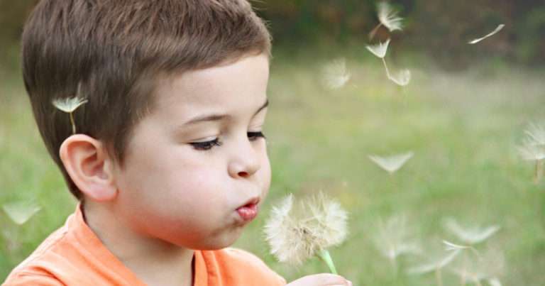 Independent Children’s Lawyers | Beanstalk Single Mums