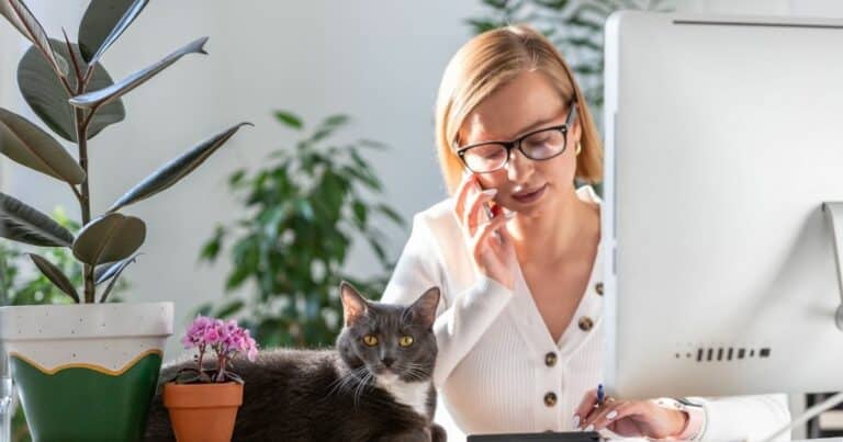 dividing assets after separation