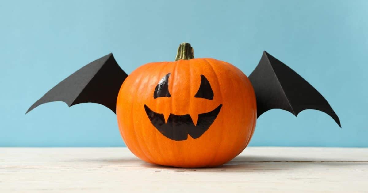 no carve pumpkin - Beanstalk Mums no carve pumpkin