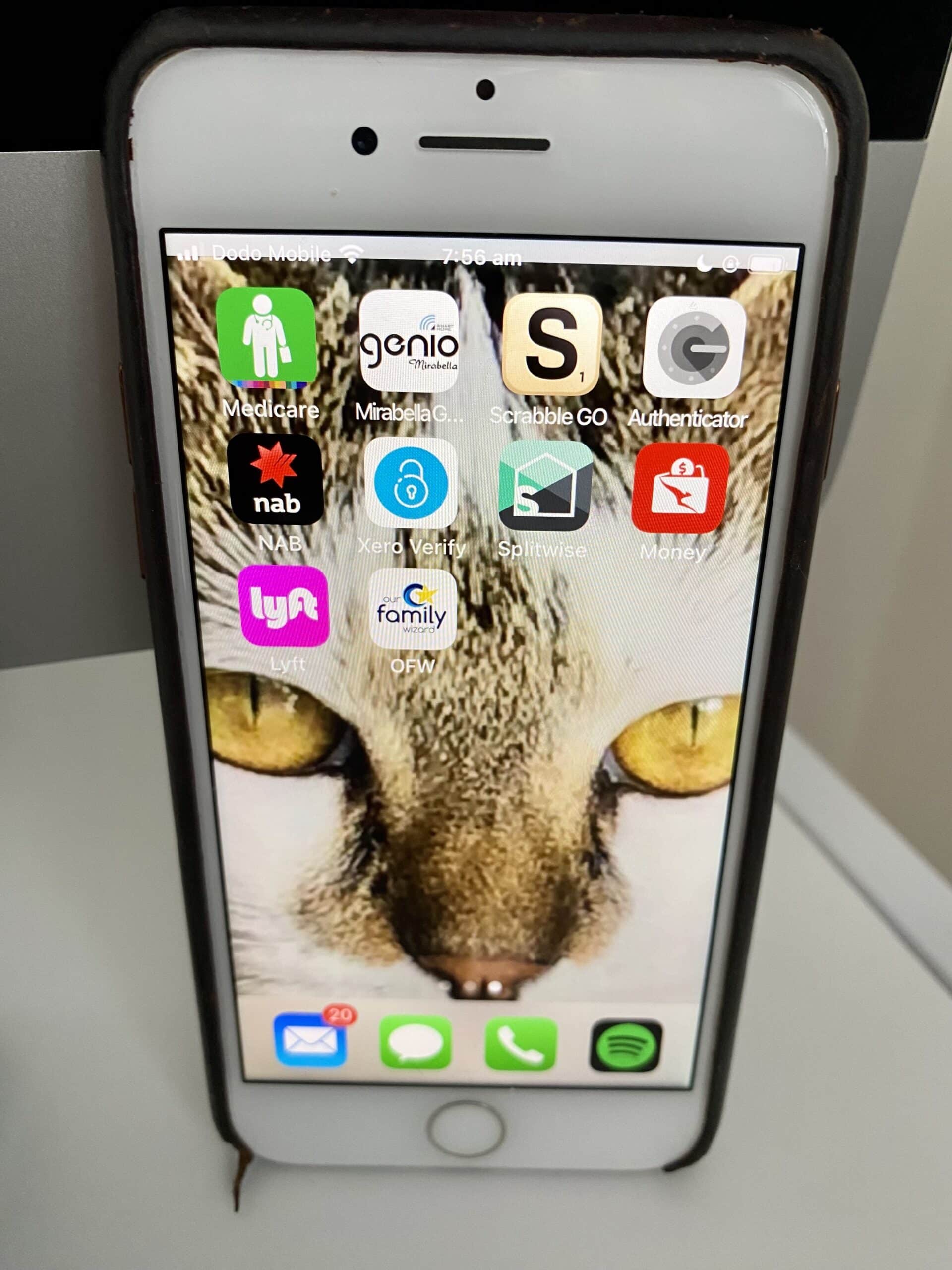 Our Family Wizard app on my phone