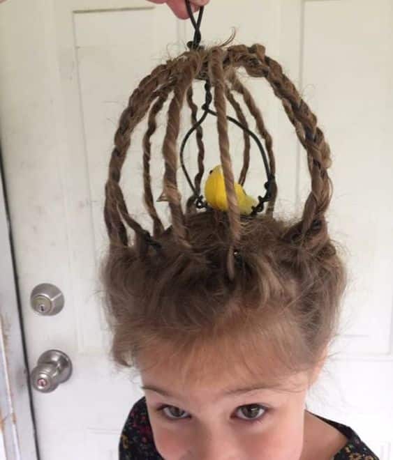 Bird cage | Ideas for crazy hair day