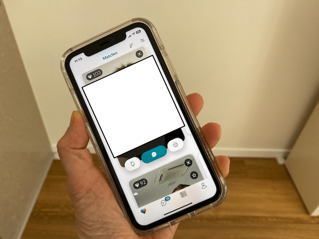 eharmony match example