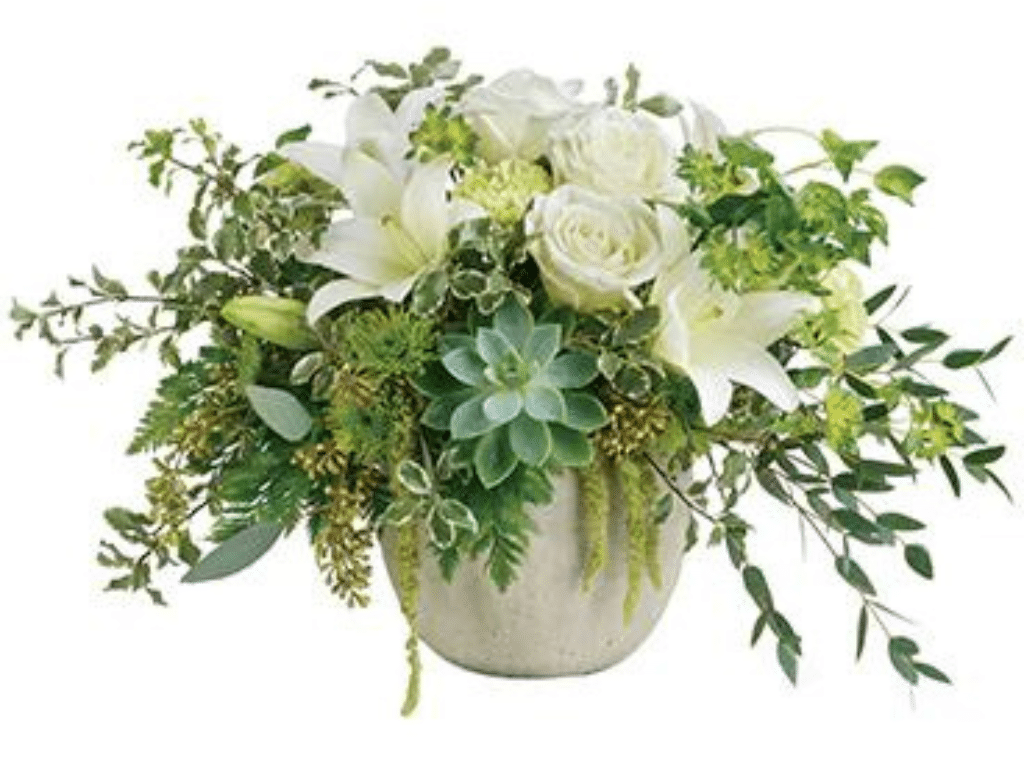 Plant | Mothers Day 2024