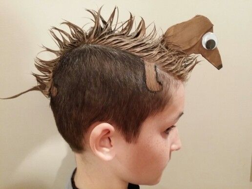 Weiner Dog | Ideas for crazy hair day