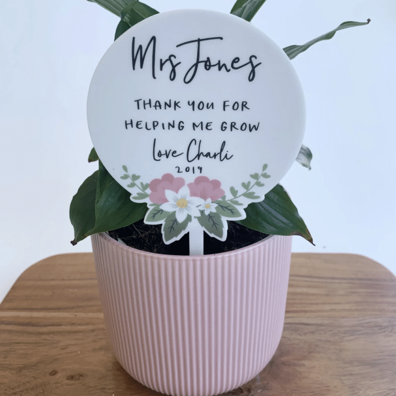 Teacher stem planter | Gifts for teachers