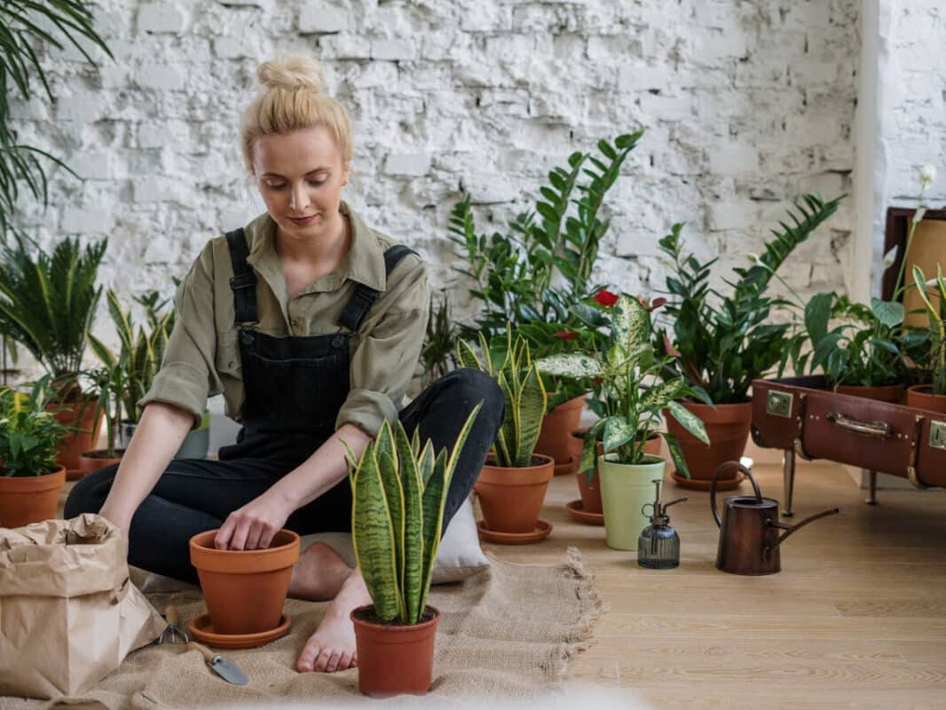 Garden therapy Beanstalk Single mums