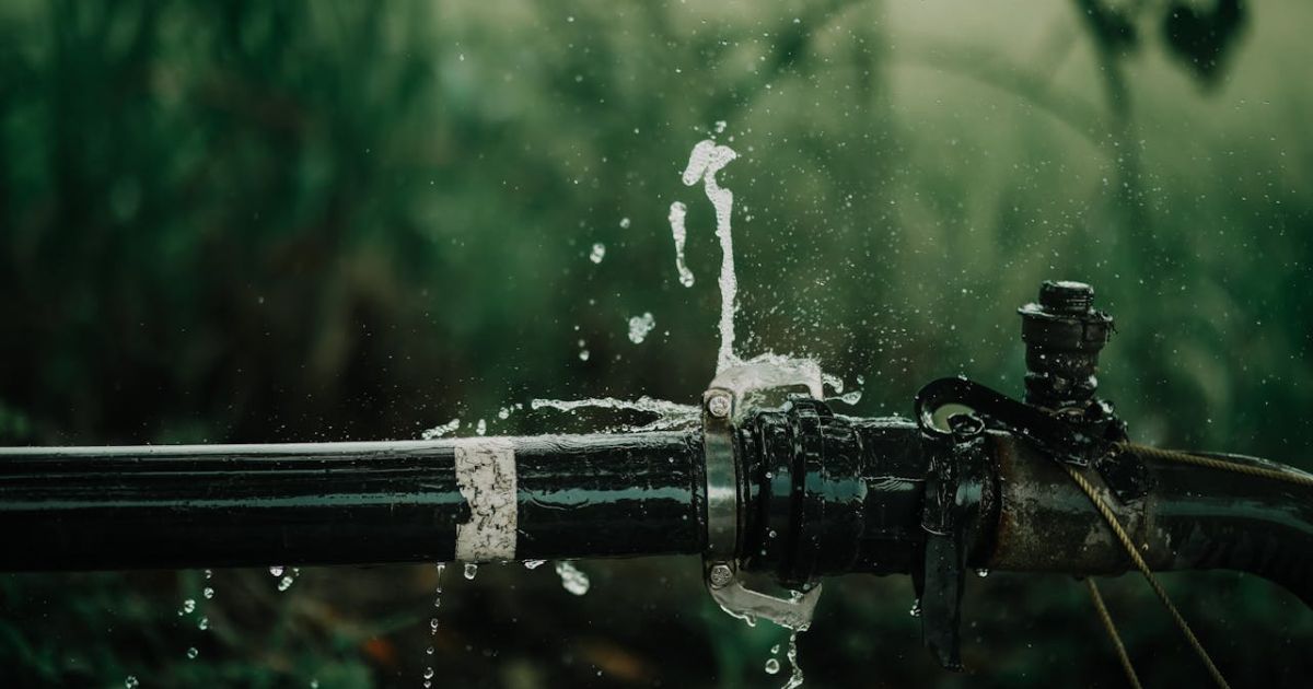 Water damage - Beanstalk Mums